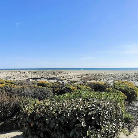 Maisons De La 1 - Magnifique Renove Pour Deux Personnes En Front De A Port Leucate. Ref: 1mm1_91 Mae-6954 Leucate