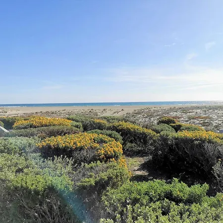 Apartamento Résidence Maisons De La 1 - Magnifique Rénové Pour Deux Personnes En Front De à Port Leucate. Réf: 1mm1_91 Mae-6954